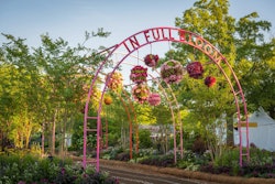 This year's show featured the work of landscape architects, garden designers, and florists, with an emphasis on diversity both in the demographics of exhibitors, including more female exhibitors than ever before, and in their unique designs.