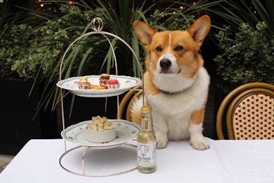 The Biltmore Mayfair's Corgi Afternoon Tea