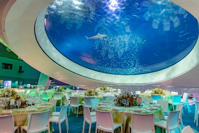 Guests were seated for dinner underneath the Gulf Stream Aquarium exhibit.