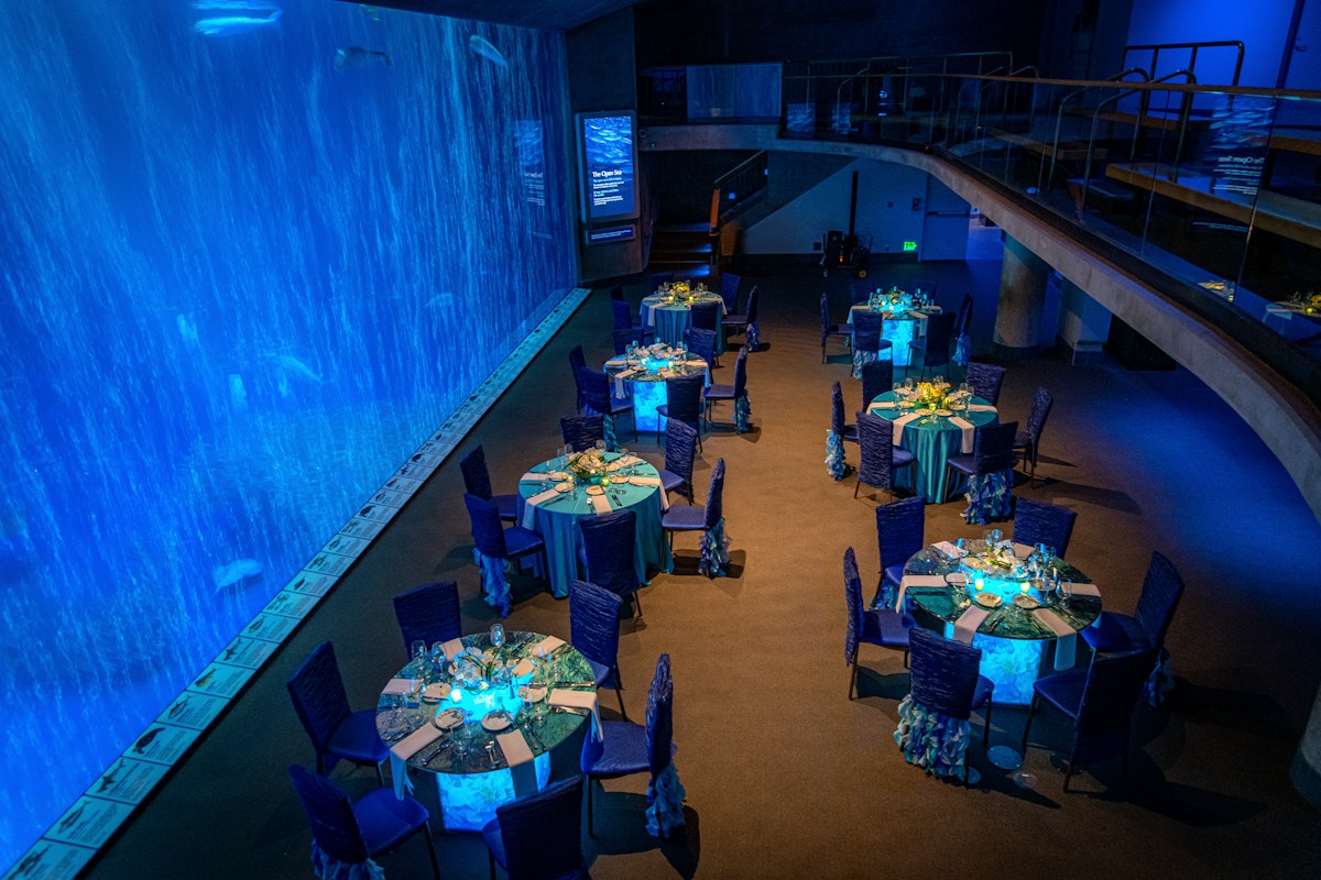 Why CSR Is Important to Events at the Monterey Bay Aquarium BizBash
