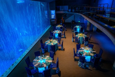 Why CSR is Important to Events at the Monterey Bay Aquarium