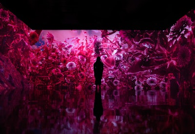 Curated and designed by ARTECHOUSE Studio, the multidisciplinary creative division of the company, the new multisensory exhibition explores the Pantone Color of the Year 2023, PANTONE 18-750 Viva Magenta. It opened during Art Basel in Miami Beach and will run through spring 2023.
