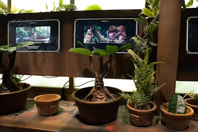 Then, it's time for Herbology class. While scenes from Harry Potter and the Chamber of Secrets play on screens, guests are instructed to 'replant the mandrake' to earn points by lifting it up and placing it back in the pot.