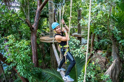 Treetop Trekking Miami