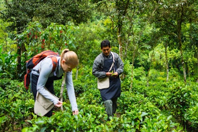 Tea-Making at Inkaterra Machu Picchu Pueblo Hotel | Peru