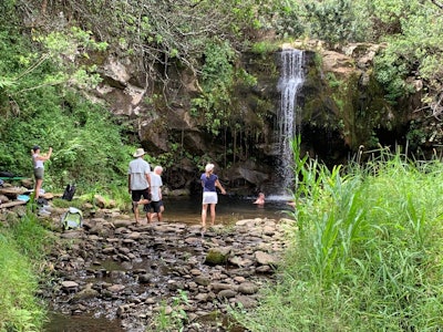 For a medical device company, Insider Experience planned a hike through a majestic Hawaiian rainforest.