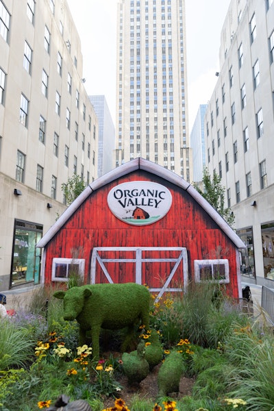 Inspired by the native ecosystems that make up the Organic Valley farms located across the country, the activation’s farmscape included a wide variety of grasses and other native perennial plant species that encourage and attract pollinators.