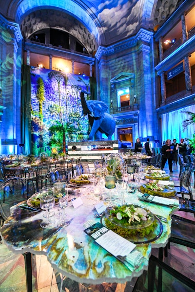 When the Smithsonian National Museum of Natural History's beloved fossil hall reopened in 2019 (after a five-year, $110 million renovation), the facility hosted two evenings of celebrations for the big opening. Its rotunda transformed into a jungle for a private donor dinner for 135 guests and then a grand opening cocktail reception for 600 guests, complete with tropical greenery and projections with swooping pterodactyls. Dinner tables also had a natural feel with a live edge and petrified wood. Silver Lining Design Group handled design and decor while Occasions Caterers handled catering. See more: Prehistoric Party: How the Smithsonian Celebrated Its Renovated Fossil Hall