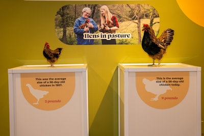 Spaces included “Discovering Nutrient Density,” a comparison of meat, chicken, and vegetables over time. For example, visitors could compare a 2-pound natural chicken from the 1950s to a hormone-induced, 9-pound chicken of today.