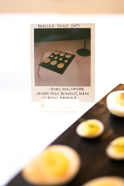 Polaroid Presentation