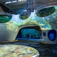 Seattle Aquarium