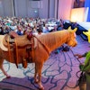 In a fun, Texas-style surprise-and-delight moment, the Zelis CEO entered the forum on horseback. 'Each year, we strive to dream up the unexpected, transforming every event into an experience our customers eagerly anticipate and remember long after,' said Zelis' Erin Brophy. 'We excel at surprising our audience, embracing bold creative risks, and delivering personalized experiences that consistently exceed and set new industry standards.'