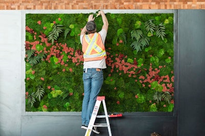 Ted2024 20240412 1 Gt0311 Medium