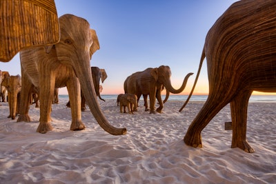 'The Great Elephant Migration' public beach exhibit featured 100 elephants—which were all sold—and attracted thousands of spectators, collectors, influencers, and families who wanted to pose with the collection. This leg of the Migration partnered with fragrance brand Xerjoff to create a custom scent to honor the experience.