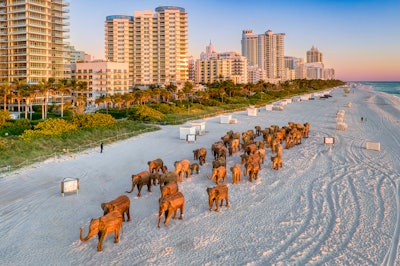 'The Great Elephant Migration' on Miami Beach