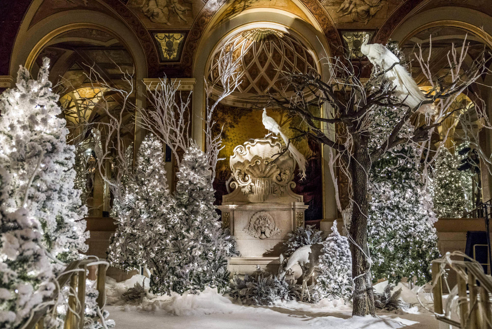 David Monn Higher Res 1[34]