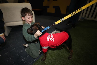 Puppies at the Playoffs