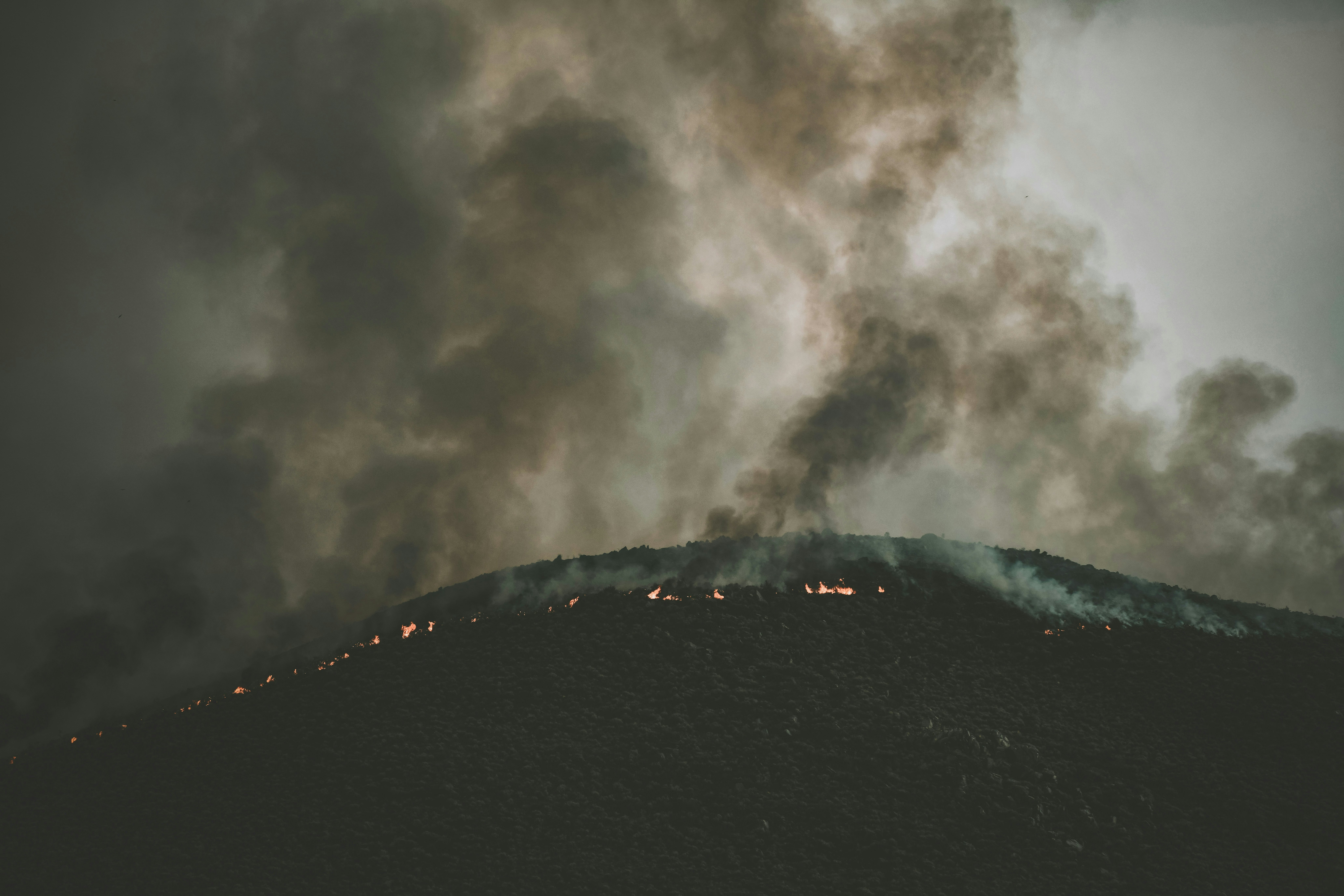 How SEARCH Foundation Is Helping Event Profs in Need During the Los Angeles Wildfires